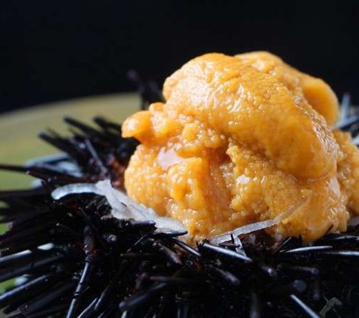 Ryori Ryokan Kanetomo