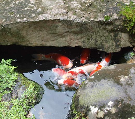 Ryoutei Ryokan Itajin