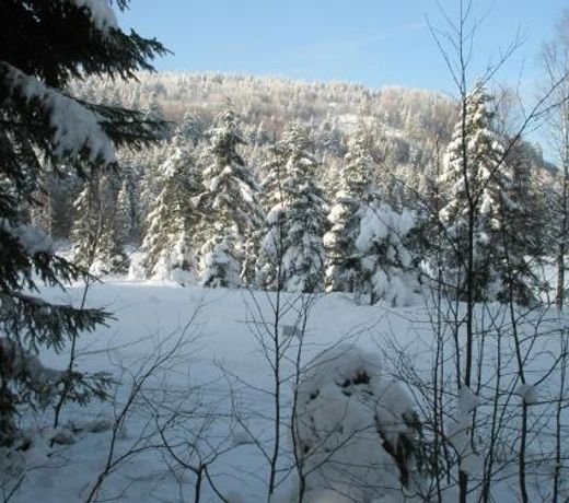 Chalet Mauselaine