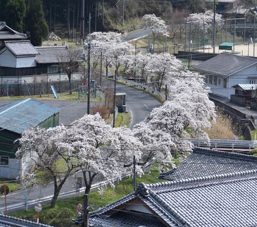 Tarao no Ie -One-hundred House-