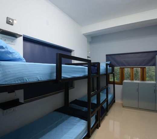 THC Backpackers jodhpur