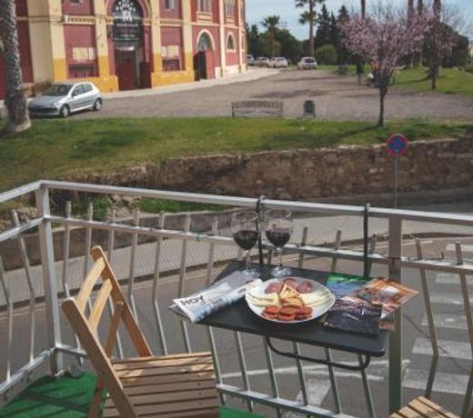 Apartamentos Coso de San Albin