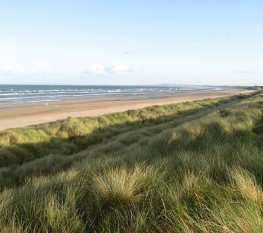 Reddans of Bettystown Luxury Bed & Breakfast, Restaurant and Bar