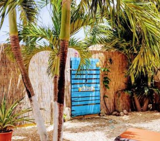 Barefoot Bonaire