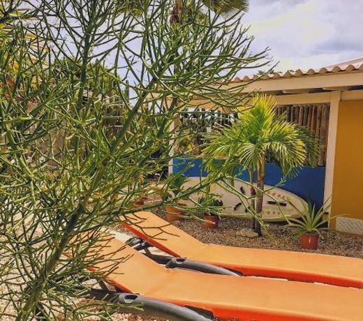 Barefoot Bonaire