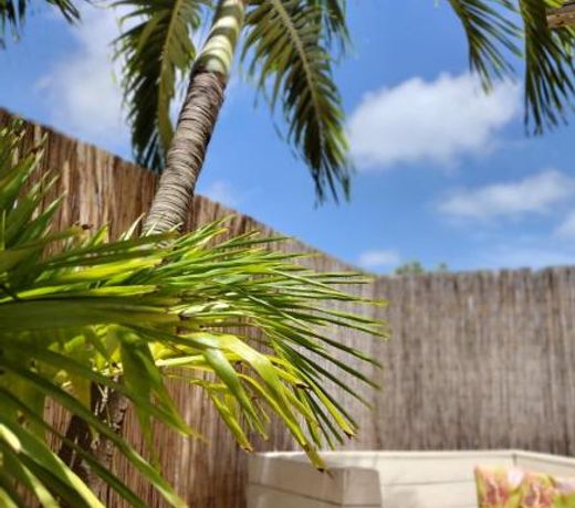 Barefoot Bonaire