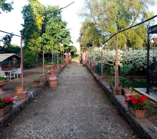 Alle vecchie mura