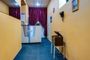 Hostel-Neva BnB