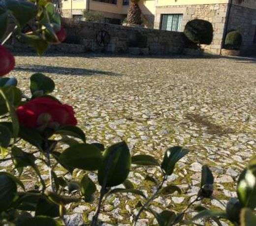 Quinta da Vinha Morta