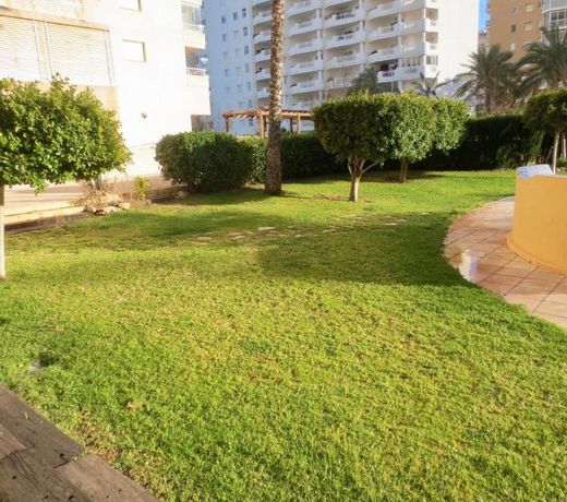Apartamentos Apolo 17