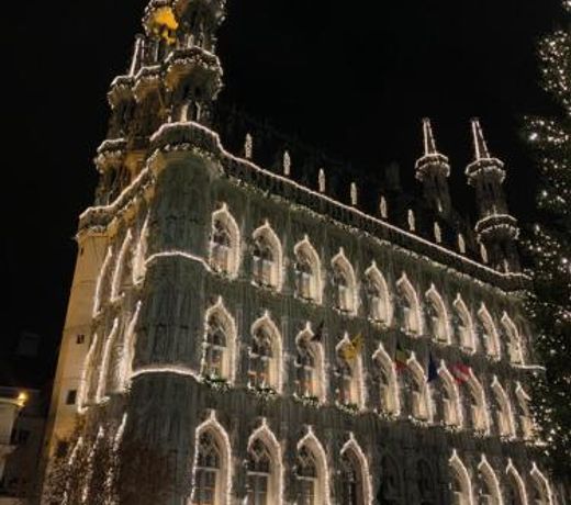 Good night Leuven -Self check-in
