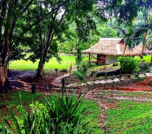 La Habana Amazon Reserve