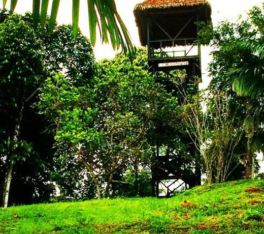 La Habana Amazon Reserve