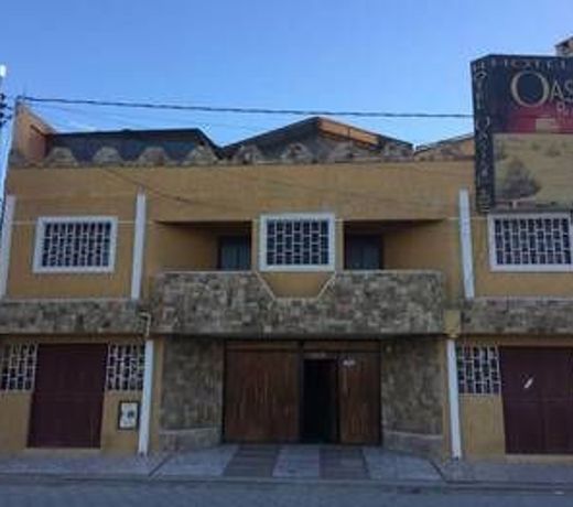 Oasis Blanco