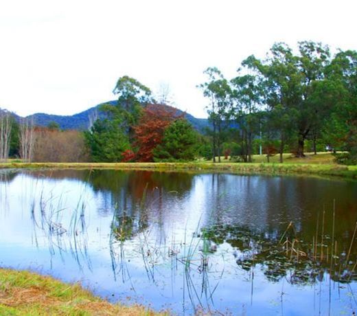 Sandy Creek Vineyard