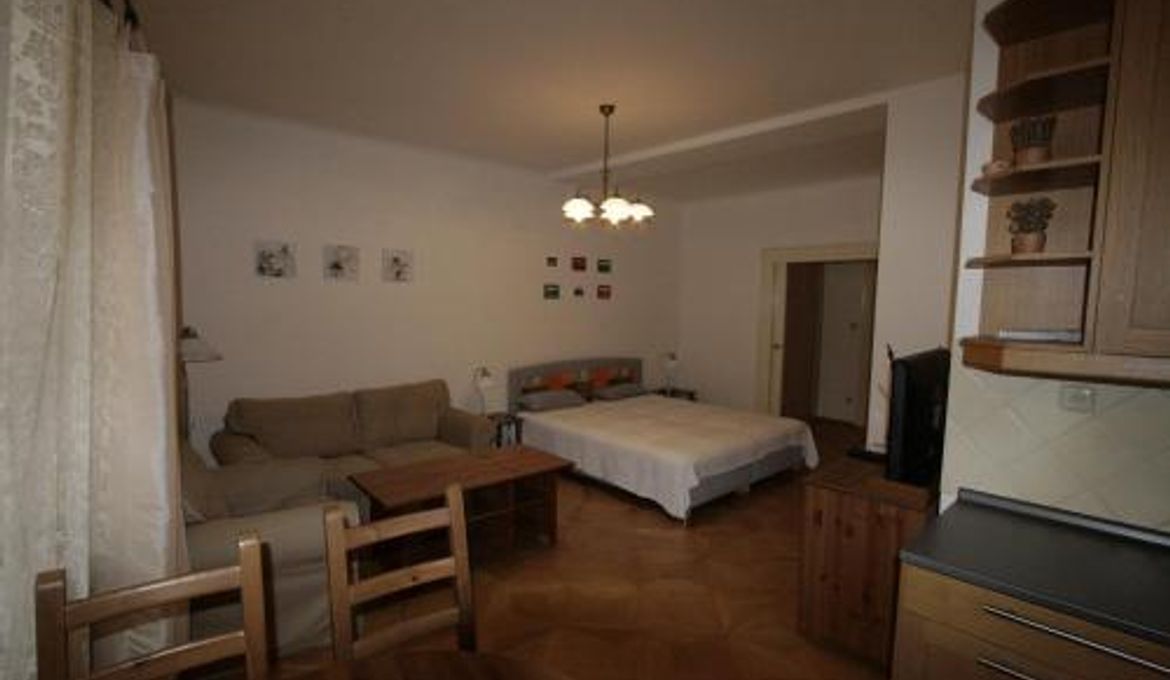 Apartment Stare Mesto Anenska