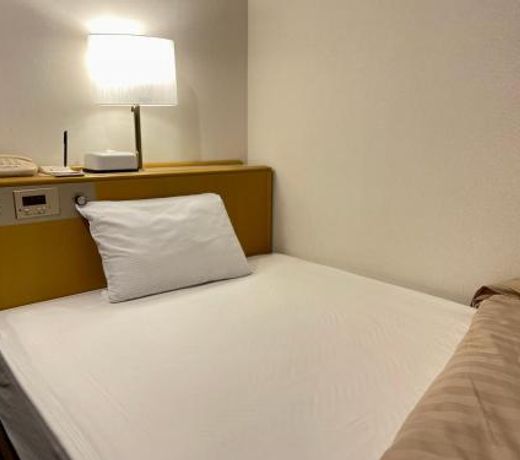 Sabae Daiichi Hotel