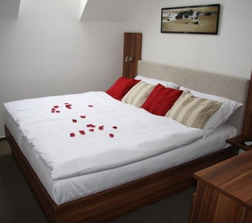 Art Hotel Podebrady