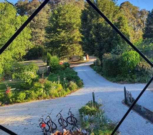 Oaktree Guest House