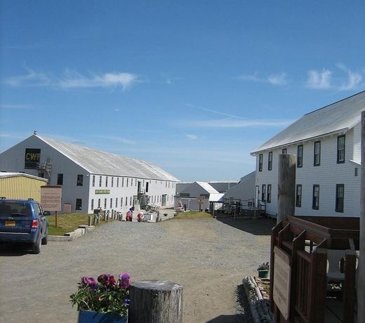 Kenai Landing
