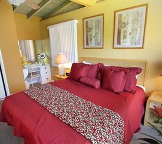 A PLACE IN THE SUN Garden Hotel - Big Units with Privacy Gardens & Heated Pool & Spa in 1 Acre Park Prime Location, PET Friendly, TOP Midcentury Modern Boutique Hotel