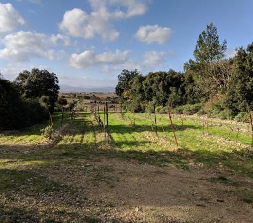 domaine de pelican