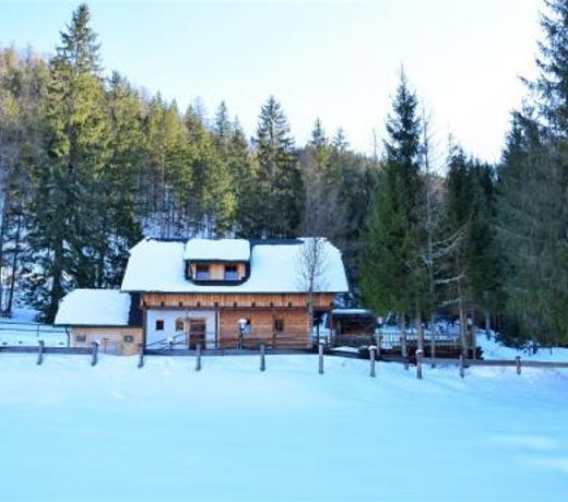Ferienhaus Dirnbacher Hutte