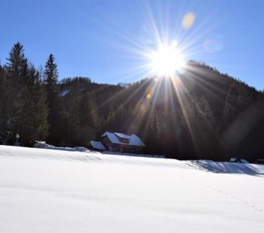 Ferienhaus Dirnbacher Hutte