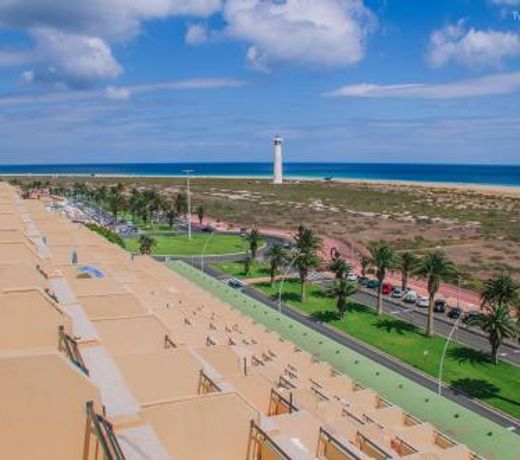 Residence Palm Garden Ocean View
