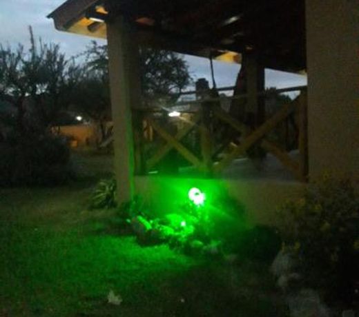 Estrella del Alma