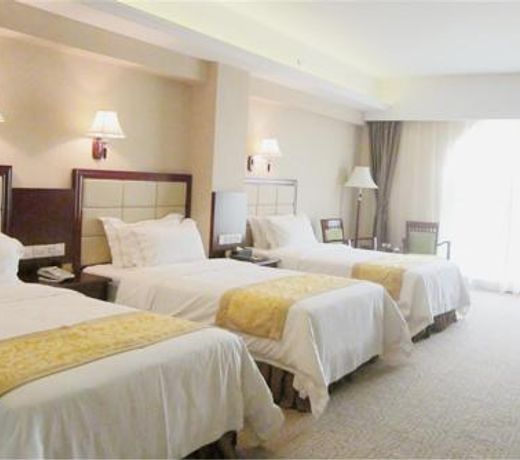 Vienna International Hotel Changsha Ziwei Road