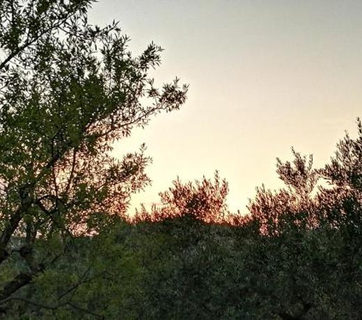 B&B Villa Milena