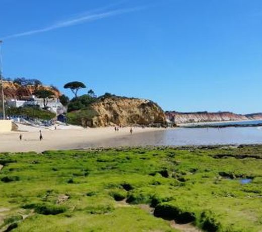 Vista das Ondas Olhos de Agua