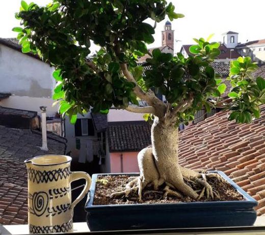 La Casa sui Tetti