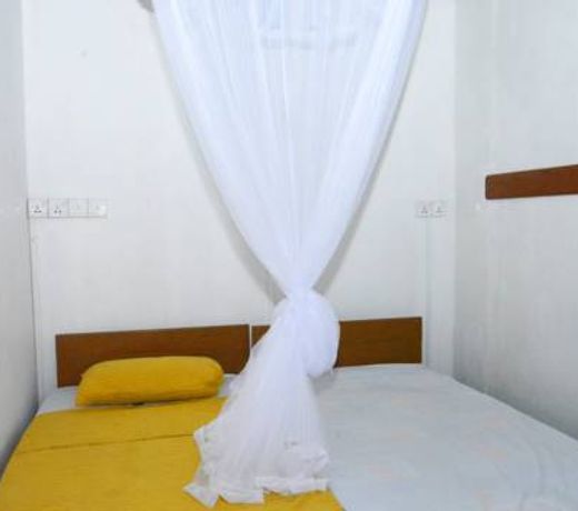 Fig and Gecko Hostel