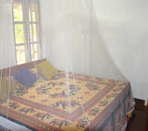 Fig and Gecko Hostel