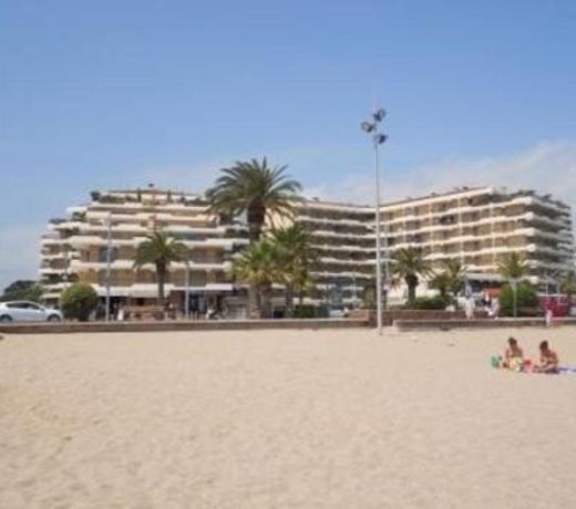 Appartement Fréjus, 1 pièce, 4 personnes - FR-1-226A-31