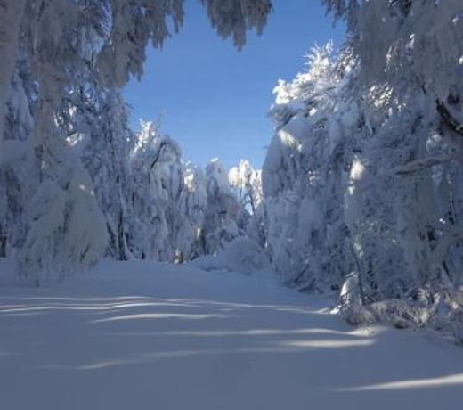Chalet la Petite Perle
