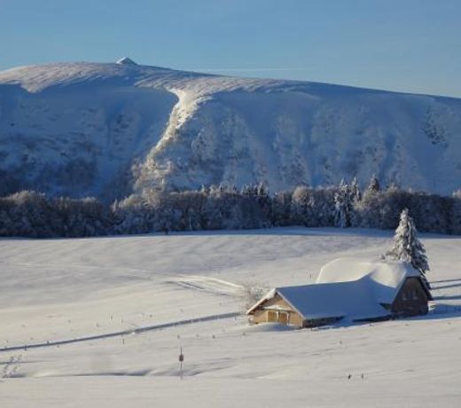 Chalet la Petite Perle