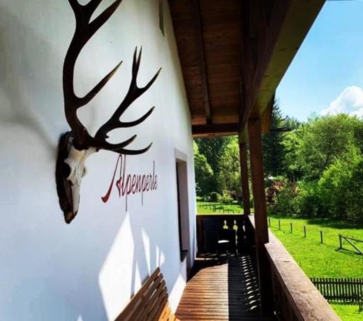 Ferienhaus Alpenperle