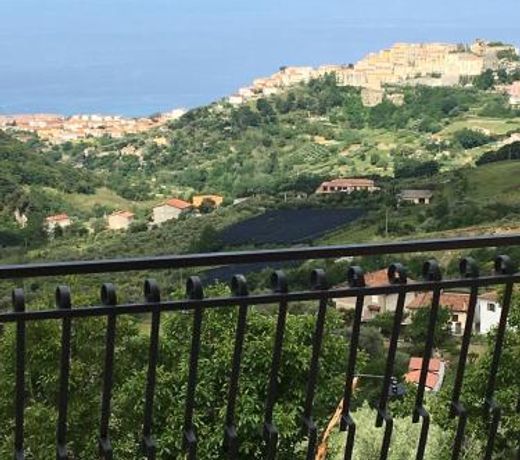 Il Podere dell'Angelo