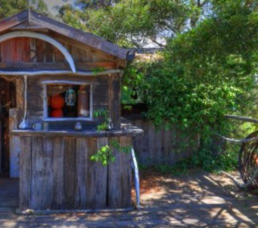 Shipwrecked on Bruny Island