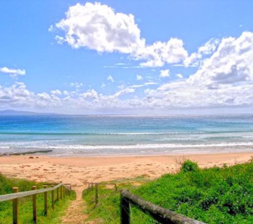 Holiday Haven