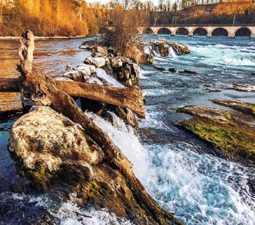 Fewo Near Rheinfall
