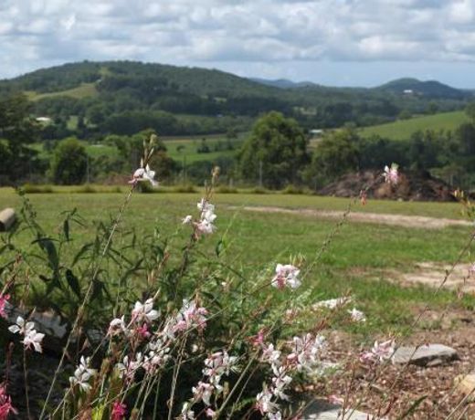 BellbirdHill Bed & Breakfast
