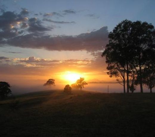 BellbirdHill Bed & Breakfast
