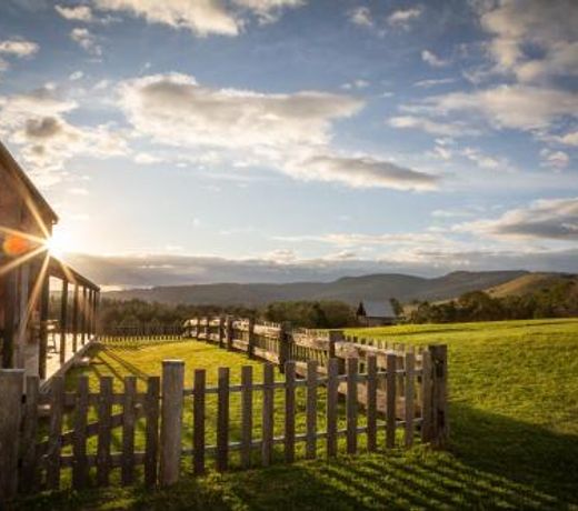 The Barracks, Tocal