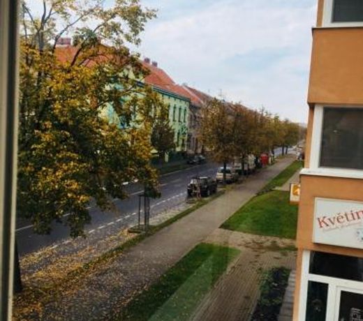 Apartman Jarosova