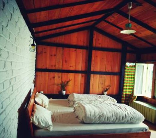 Great Barbet Birding Lodge & sundown Cafe pangot