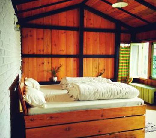 Great Barbet Birding Lodge & sundown Cafe pangot